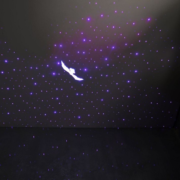 Pottery Barn Teen Harry Potter Hogwarts Castle Night Sky Projector with Hedwig🦉 - Picture 4 of 13